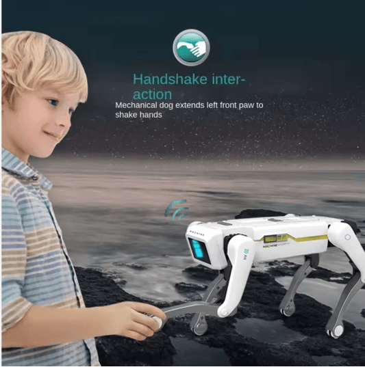 Smart Dog Multifunctional Toy © Ⓢ